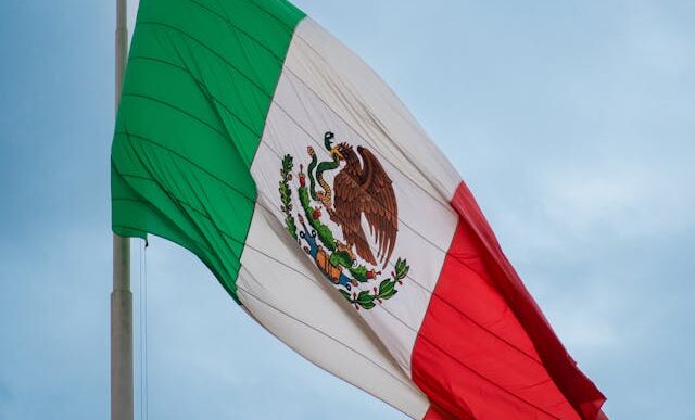 Mexican Flag